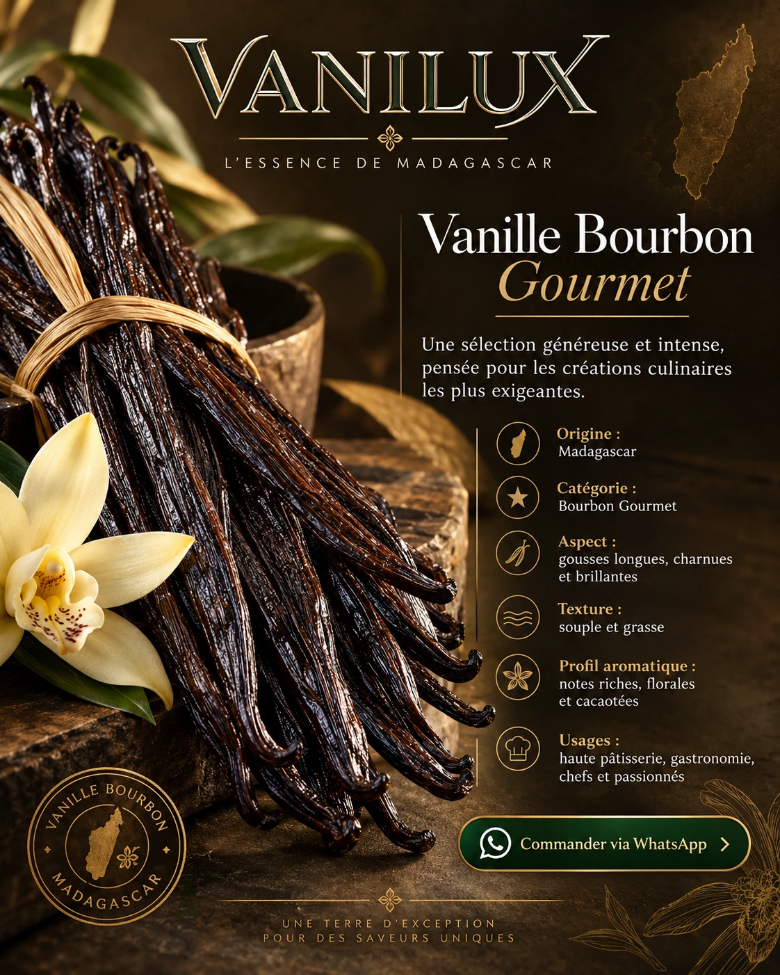 Illustration de vanille Bourbon Gourmet de Madagascar par Vanilux, visuel de présentation