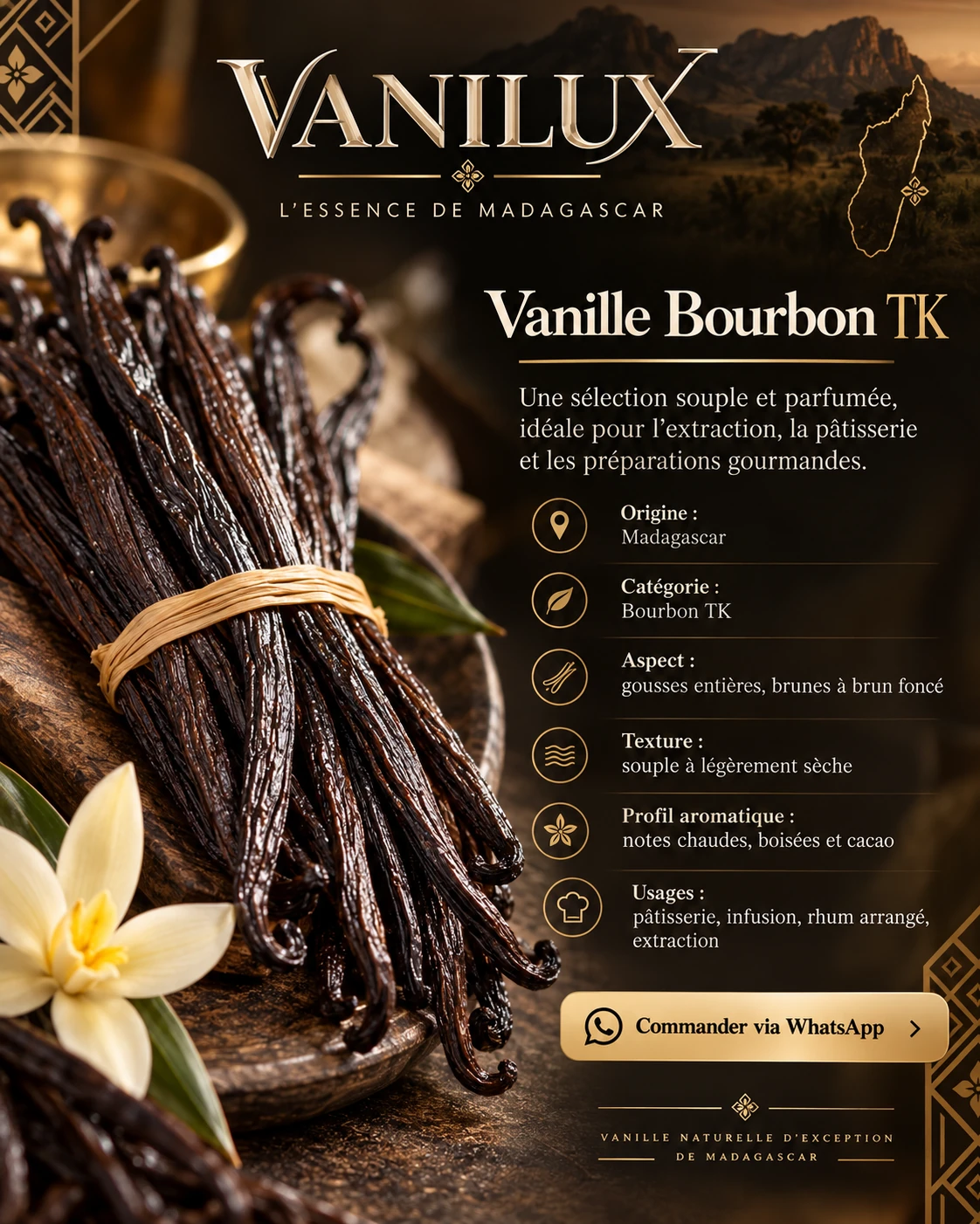 Illustration de vanille Bourbon TK de Madagascar par Vanilux, visuel de présentation